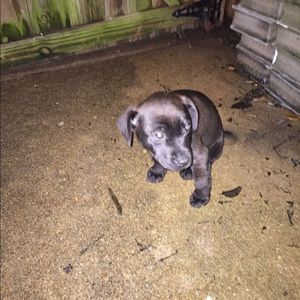 Meet your Posher, Jerry